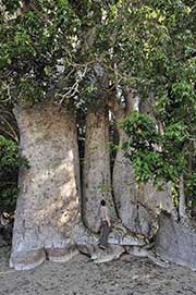 L'île de Nosy Iranja – Madagascar