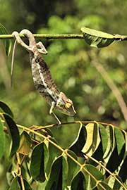 L'île de Nosy Iranja – Madagascar