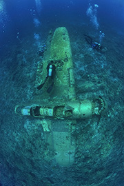 Des platax à longues nageoires devant une épave de dhoni – Maldives