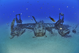 Des platax à longues nageoires devant une épave de dhoni – Maldives