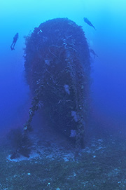 Des platax à longues nageoires devant une épave de dhoni – Maldives