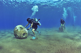 Des platax à longues nageoires devant une épave de dhoni – Maldives